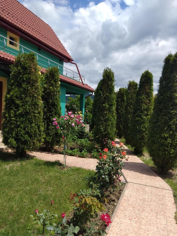 Casa Lucian Hotel Dubova Exterior foto